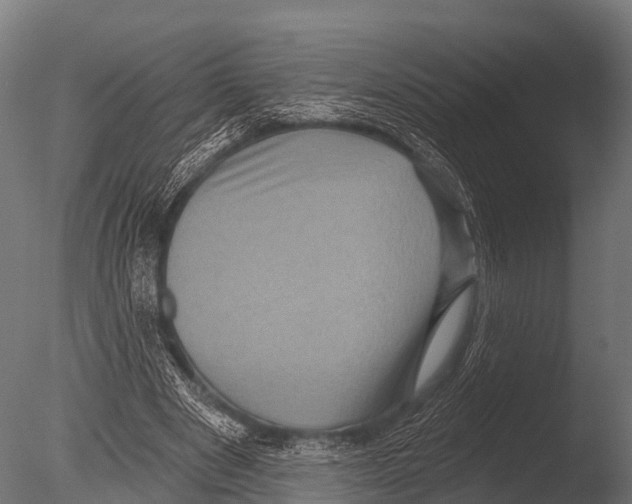 X0000085020489200704021431