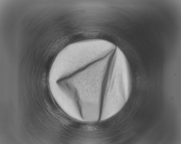 X0000085020498200704021431