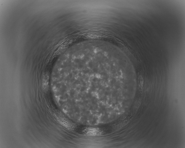 X0000085020507200704021431
