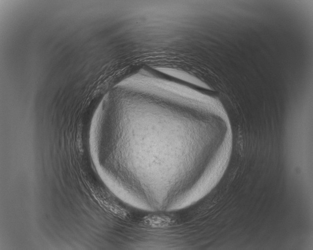 X0000085020512200704021431
