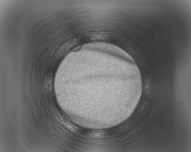 X0000085020514200704021431