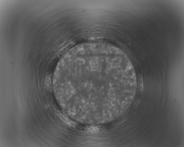 X0000085020523200704021430