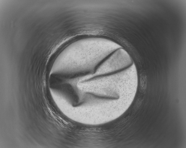 X0000085020532200704021430