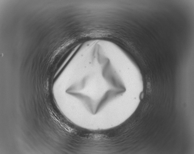 X0000085020539200704021430