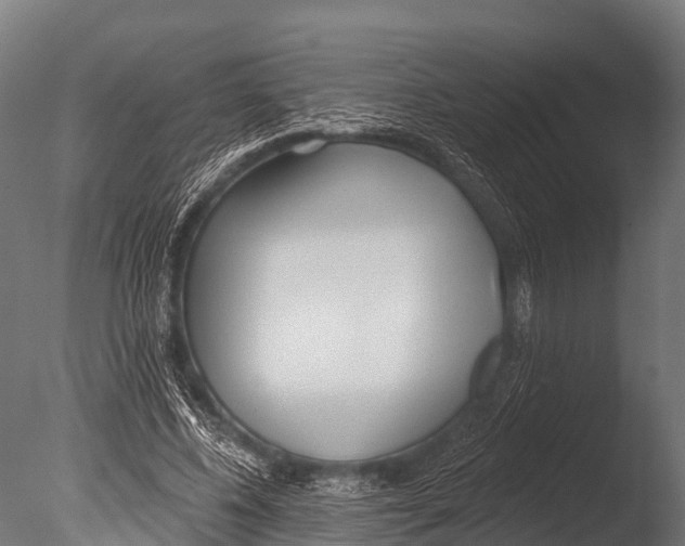 X0000085020540200704021430