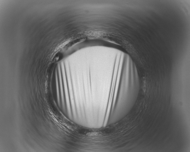 X0000085020544200704021430