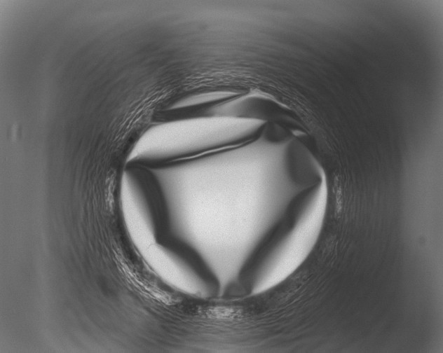 X0000085020546200704021430