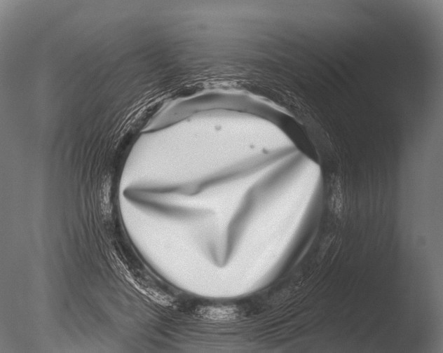 X0000085020548200704021430