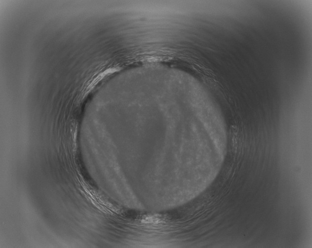 X0000085020550200704021430