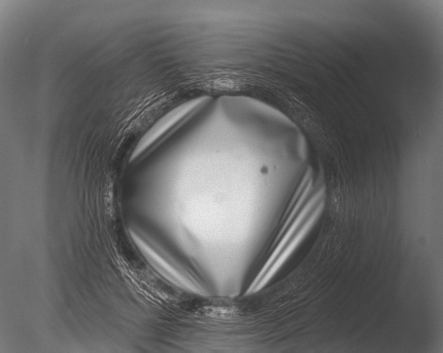 X0000085020552200704021430