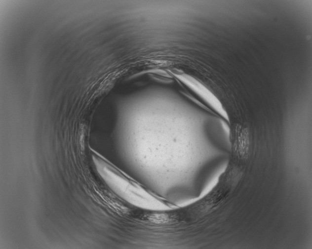 X0000085020562200704021430