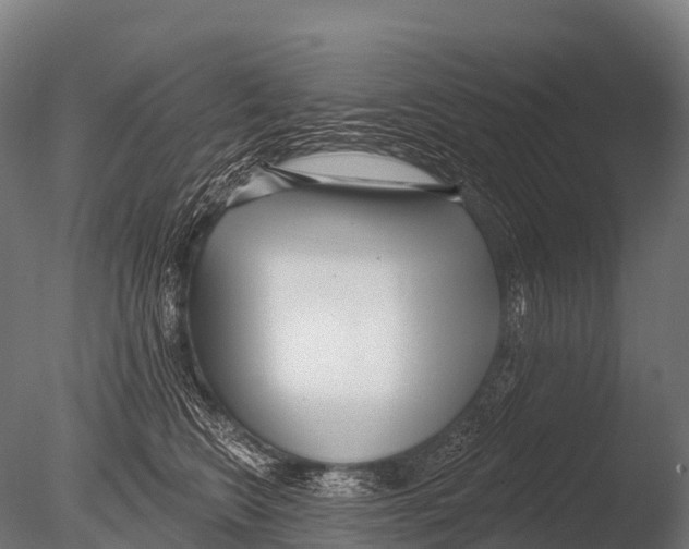 X0000085020566200704021430