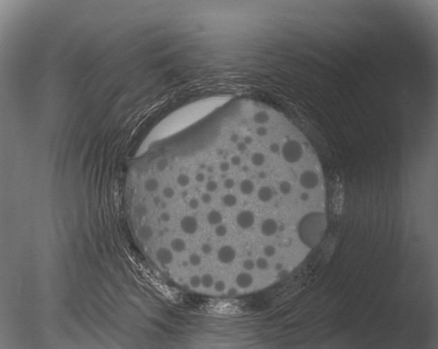 X0000085020569200704021430