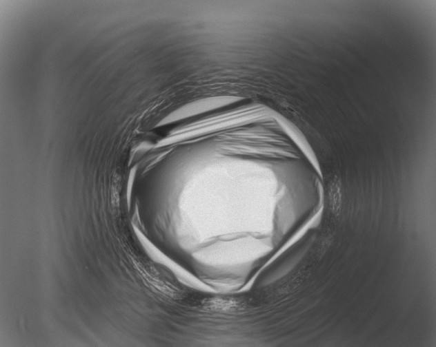 X0000085020570200704021430
