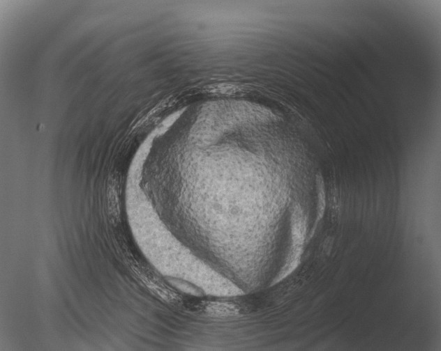 X0000085020572200704021430