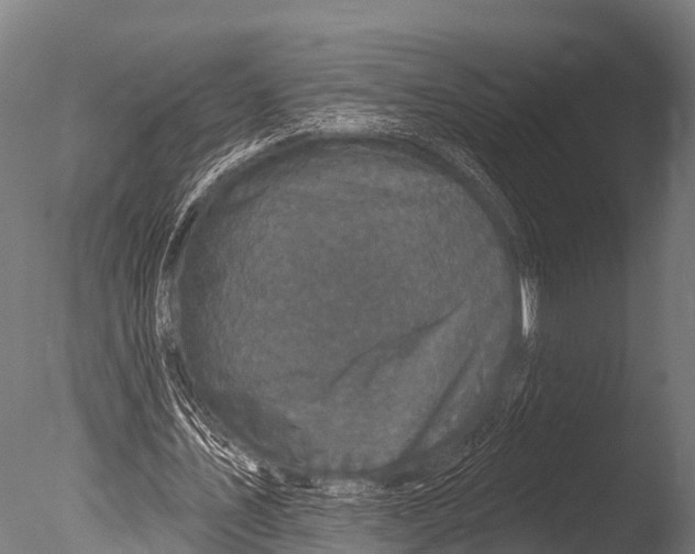 X0000085020579200704021429