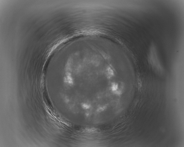 X0000085020583200704021429