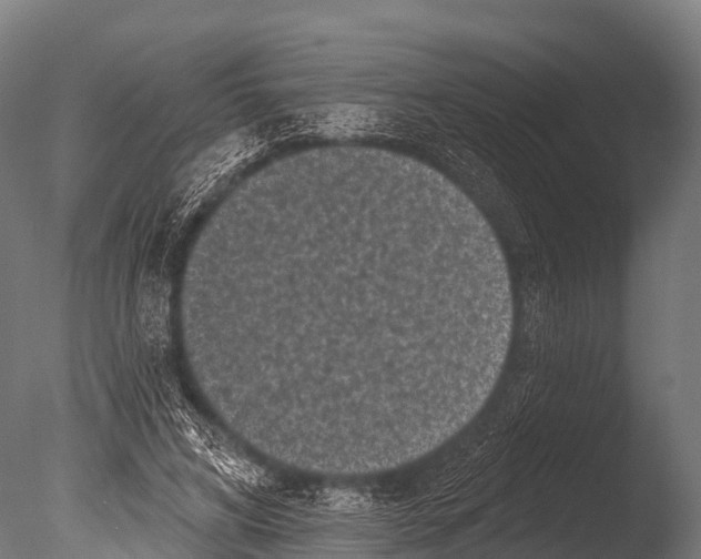 X0000085020592200704021429