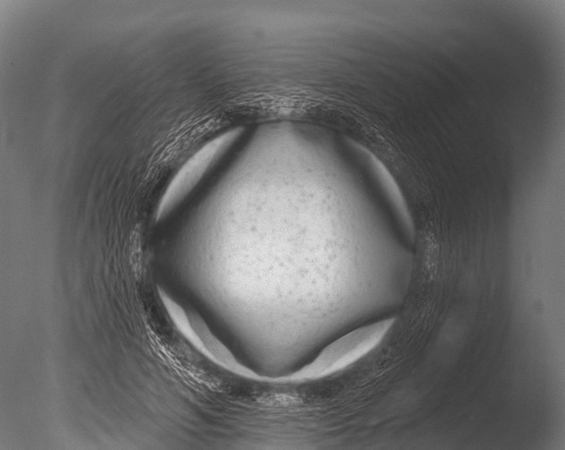 X0000085020594200704021429