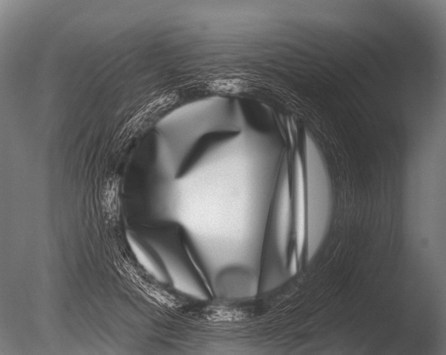 X0000085020601200704021429