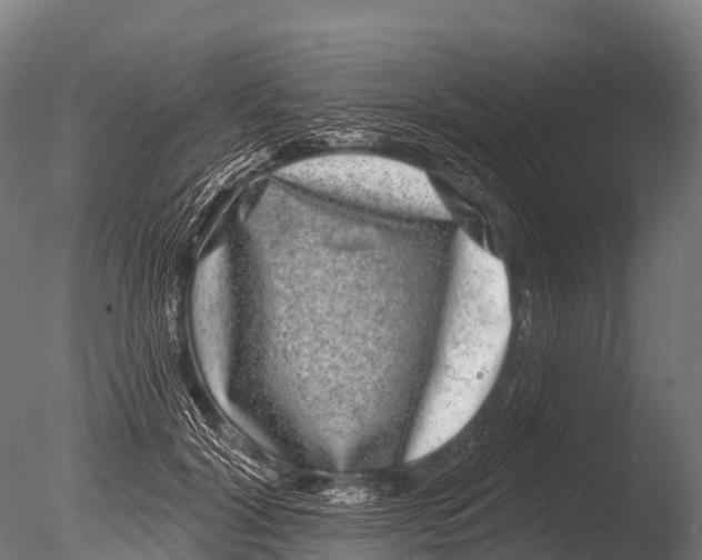 X0000085020604200704021429