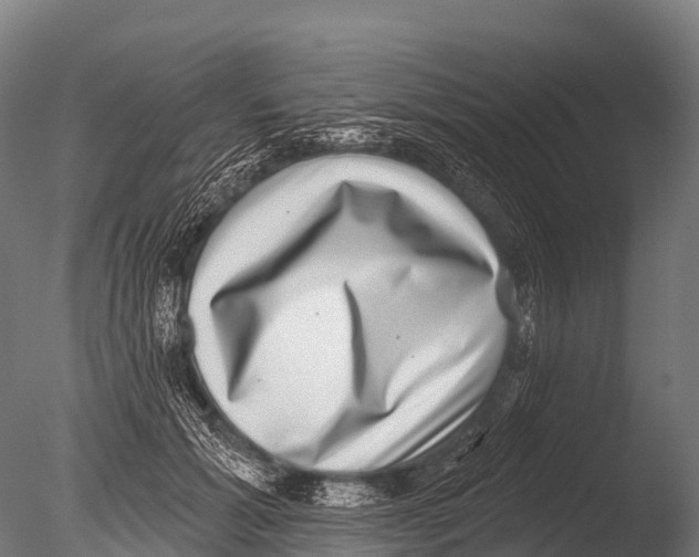 X0000085020605200704021429