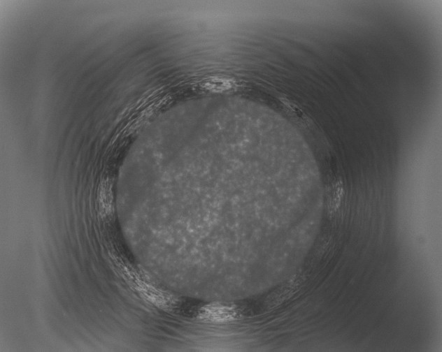 X0000085020606200704021429