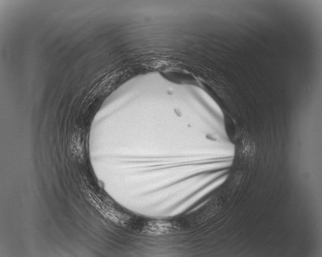 X0000085020607200704021429