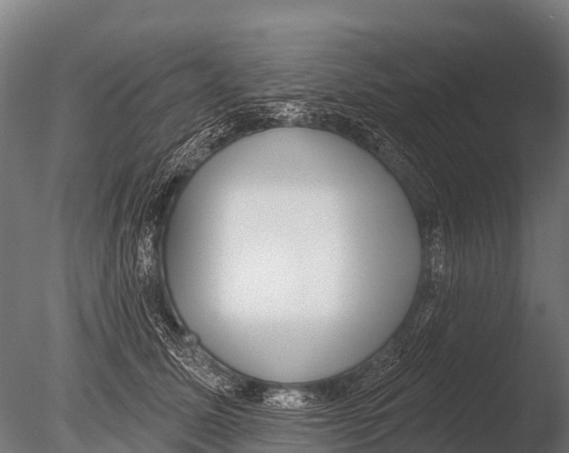 X0000085020611200704021429