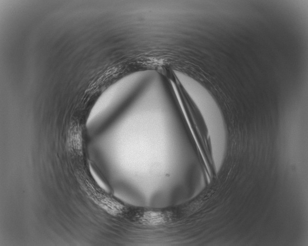 X0000085020613200704021429