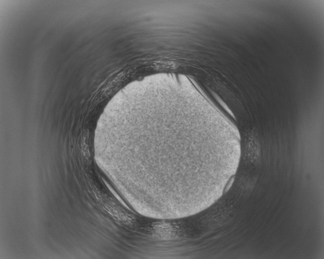 X0000085020616200704021429
