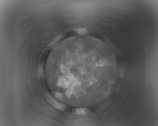 X0000085020618200704021429
