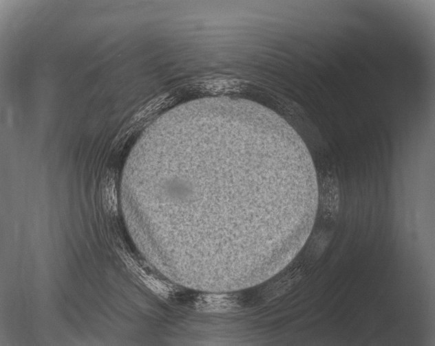 X0000085020622200704021429