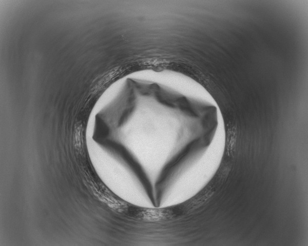 X0000085020623200704021429