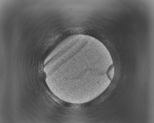 X0000085020624200704021429