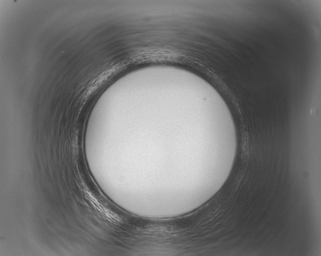 X0000085020629200704021428