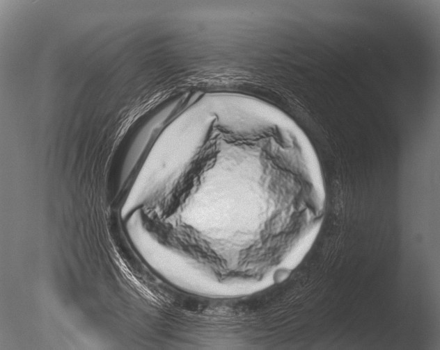 X0000085020634200704021428