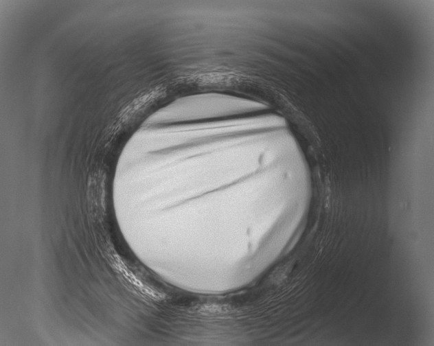 X0000085020637200704021428