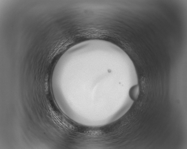 X0000085020642200704021428