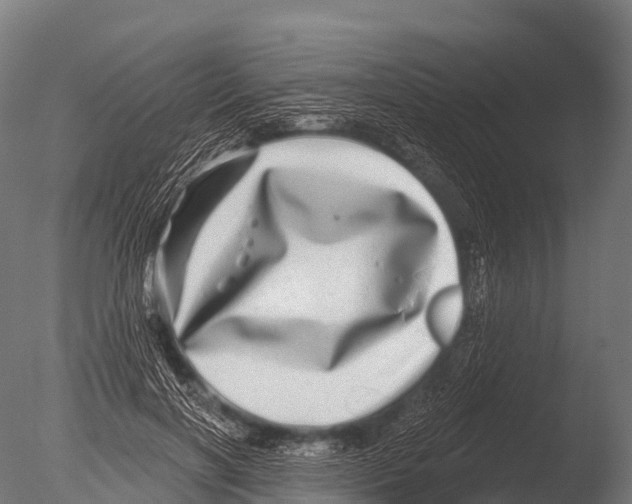X0000085020646200704021428