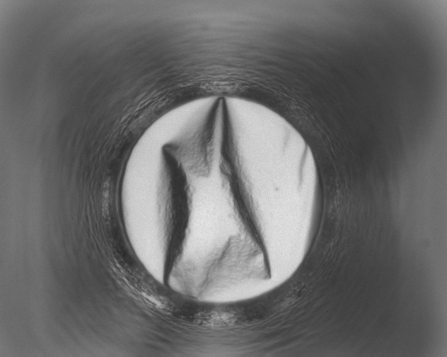 X0000085020647200704021428
