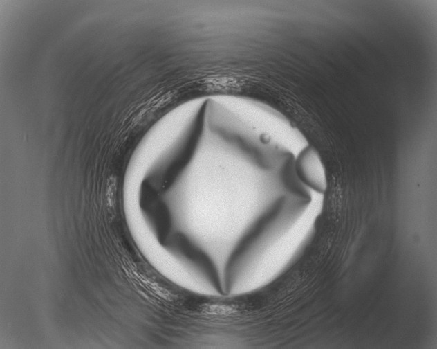 X0000085020649200704021428