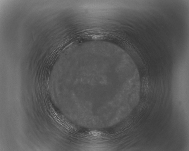 X0000085020650200704021428