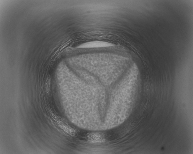 X0000085020652200704021428