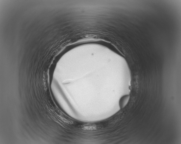 X0000085020653200704021428