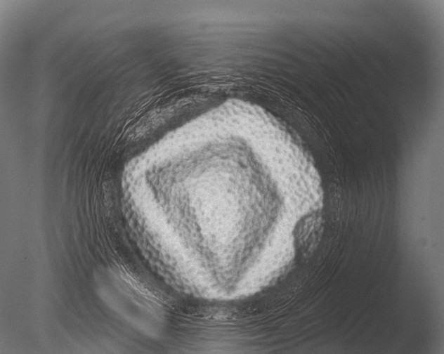 X0000085020654200704021428