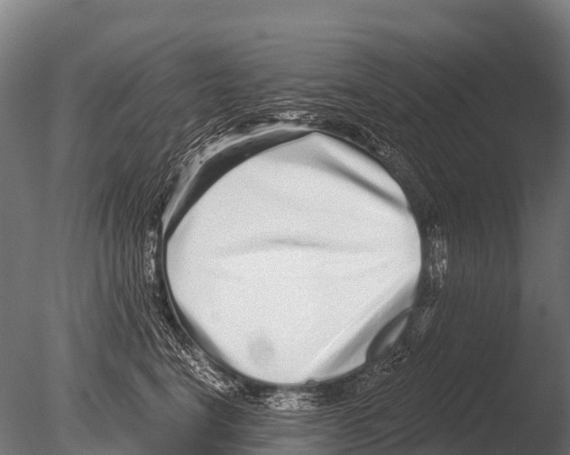 X0000085020664200704021428