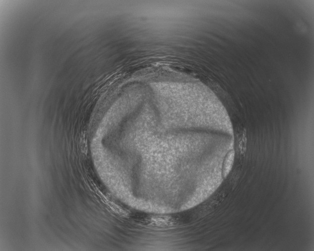 X0000085020666200704021429