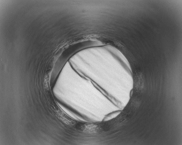X0000085020669200704021429