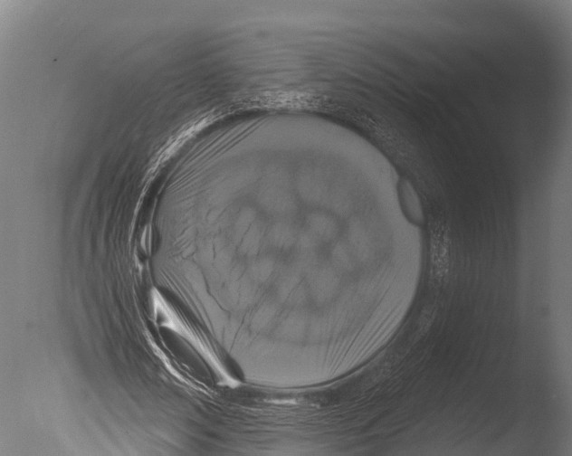 X0000085020674200704021428